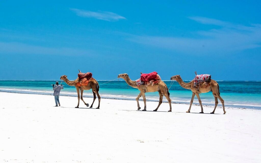 Diani Beach