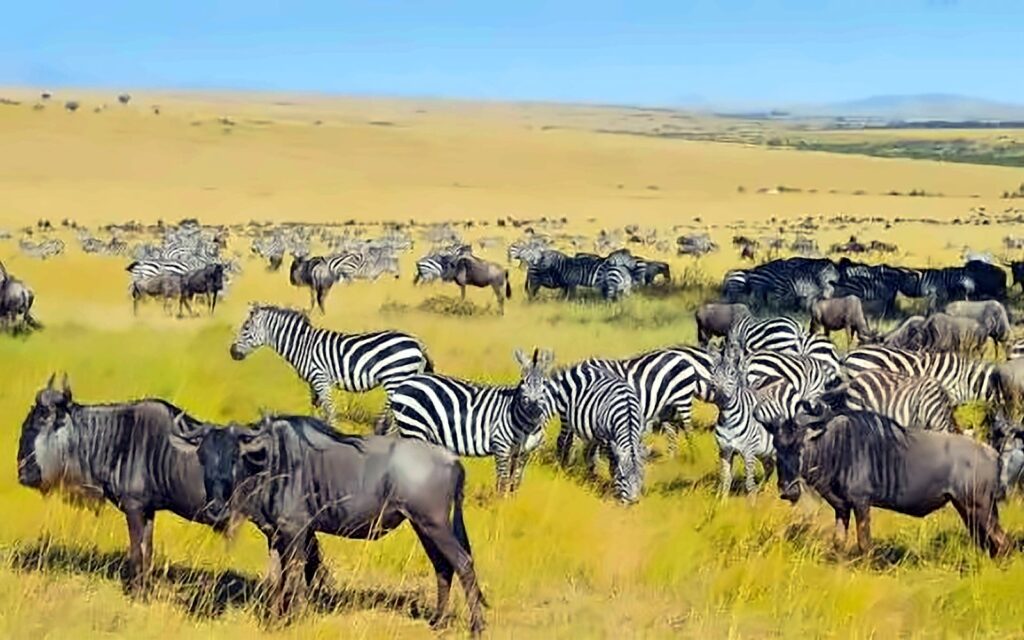 Serengeti National Park